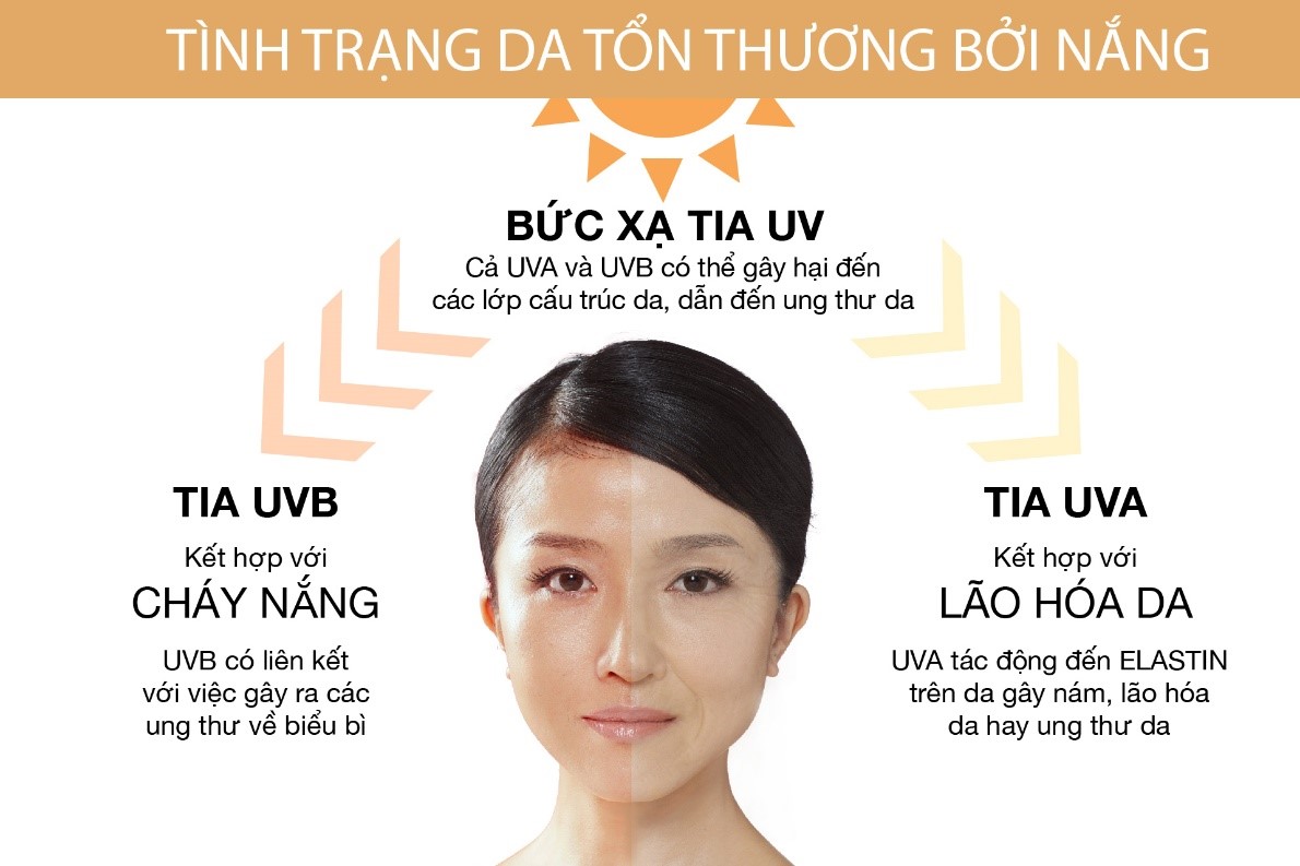 Tình trạng da tổn thương bởi nắng